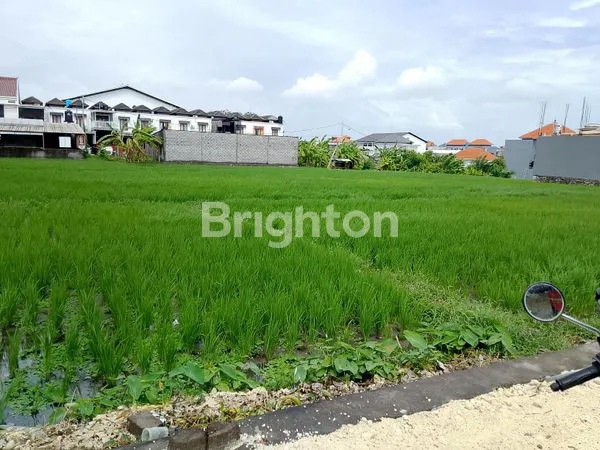 image DISEWAKAN TANAH PURA DEMAK DPS  (1)