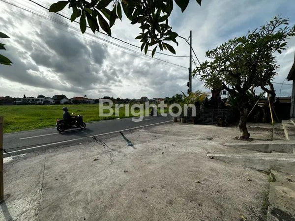 image PELUANG EMAS TOKO SIAP PAKAI DI JANTUNG CANGGU, LOKASI PREMIUM & PARKIR LUAS! (7)