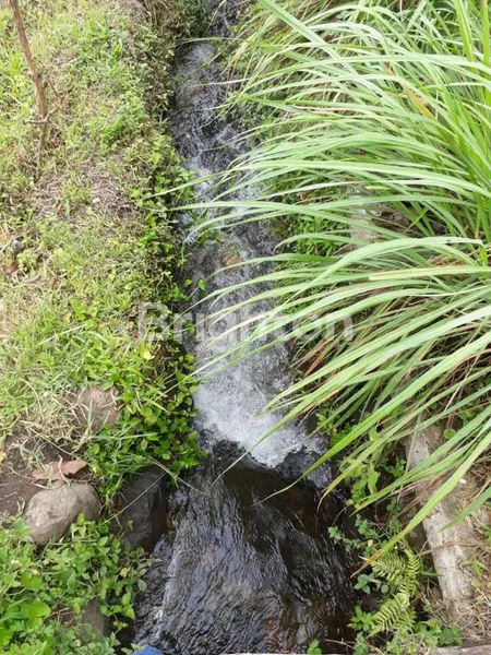 image TANAH DI TRAWAS SIAP BANGUN VIEW GUNUNG (2)