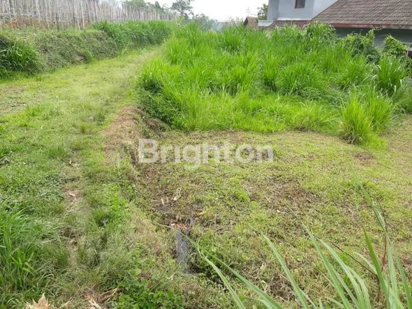 image TANAH DI TRAWAS SIAP BANGUN VIEW GUNUNG (3)