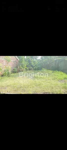 image TANAH PEKARANGAN DI SEDAYU BANTUL ARAH BANDARA (3)