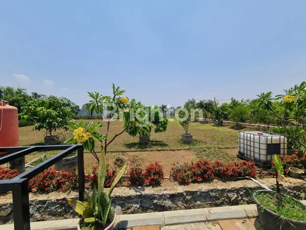 TANAH PERKEBUNAN 1.6HA PASIRJENGKOL KARAWANG