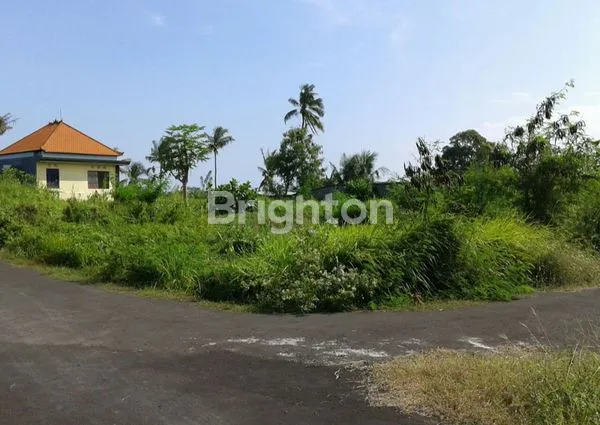 image TANAH PREMIUM DI AREA VILLA VILLA VIEW OCEAN DI GIANYAR BALI  (2)