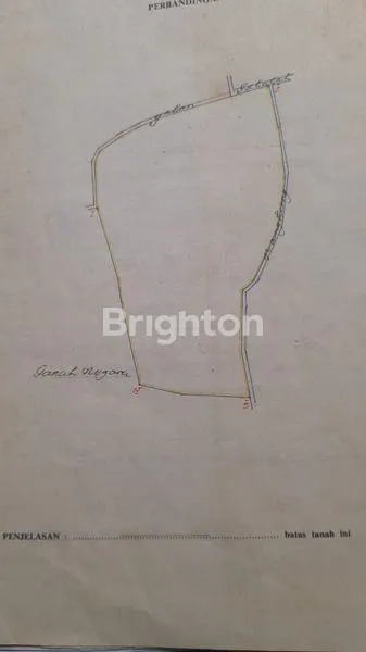 image LAHAN LUAS UNTUK GUDANG ATAU PERUMAHAN DI BULELENG LOKASI STRATEGIS (2)