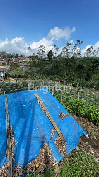 image TANAH MURAH DI JL.RAYA CIPANGISIKAN (3)