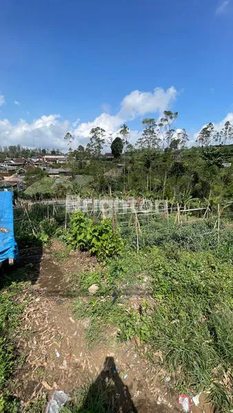 image TANAH MURAH DI JL.RAYA CIPANGISIKAN (4)