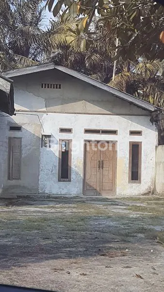 image RUMAH DISEWAKAN (1)