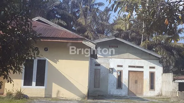 image RUMAH DISEWAKAN (2)