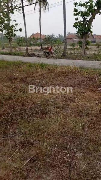 image TANAH DI TANJUNG SARI, NATAR, LAMPUNG SELATAN (1)