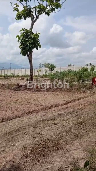 image TANAH DI TANJUNG SARI, NATAR, LAMPUNG SELATAN (2)