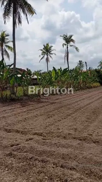 image TANAH DI TANJUNG SARI, NATAR, LAMPUNG SELATAN (3)
