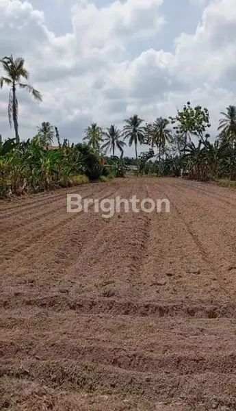 image TANAH DI TANJUNG SARI, NATAR, LAMPUNG SELATAN (4)