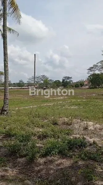 image TANAH DI TANJUNG SARI, NATAR, LAMPUNG SELATAN (5)