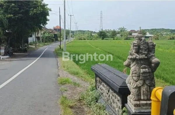 image  LAHAN SAWAH PINGGIR JALAN RAYA, INVESTASI JANGKA PANJANG  (1)
