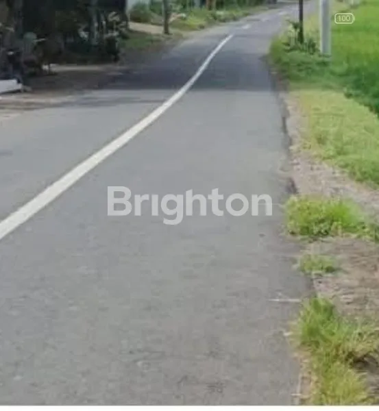 image  LAHAN SAWAH PINGGIR JALAN RAYA, INVESTASI JANGKA PANJANG  (5)