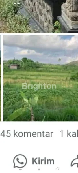 image  LAHAN SAWAH PINGGIR JALAN RAYA, INVESTASI JANGKA PANJANG  (2)