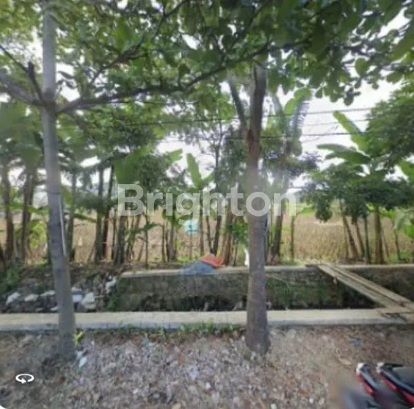 image TANAH MATANG CIBIRU BANDUNG (3)