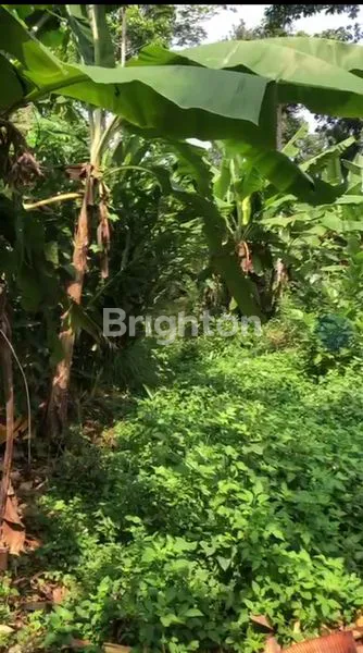 image TANAH PEKARANGAN DI WATUPLUMBON - MIJEN (2)