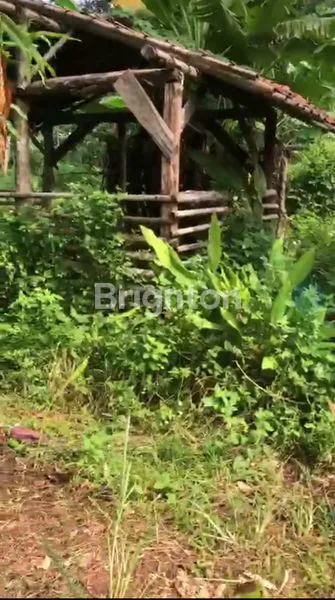 image TANAH PEKARANGAN DI WATUPLUMBON - MIJEN (5)