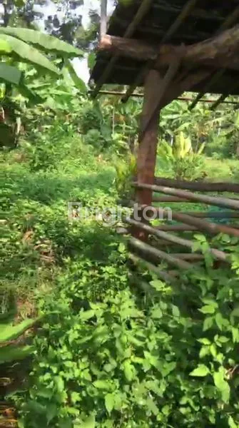 image TANAH PEKARANGAN DI WATUPLUMBON - MIJEN (6)