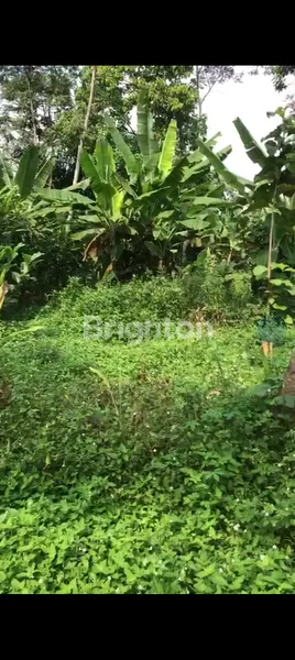 image TANAH PEKARANGAN DI WATUPLUMBON - MIJEN (7)