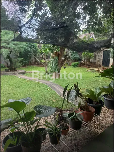 image RUMAH PRIVAT 2 UNIT DI JAGAKARSA – JAKARTA SELATAN (7)