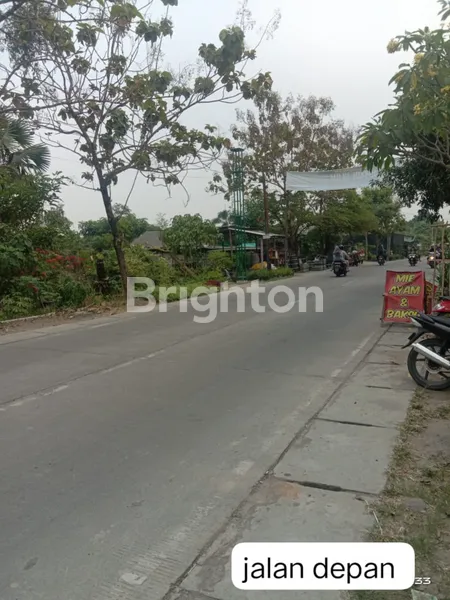 image TANAH DAERAH GRESIK (4)