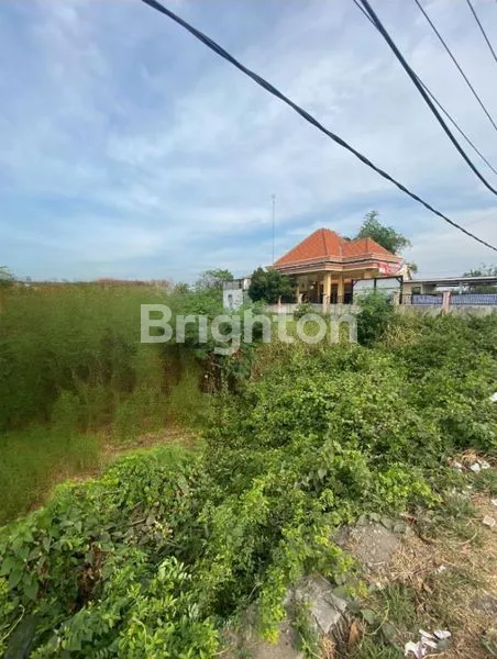 image TANAH CERME DEKAT TOL ARAH CERME, PUSKESMAS CERME  GRESIK ( KODE : 41 ) (1)