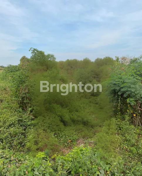 image TANAH CERME DEKAT TOL ARAH CERME, PUSKESMAS CERME  GRESIK ( KODE : 41 ) (2)