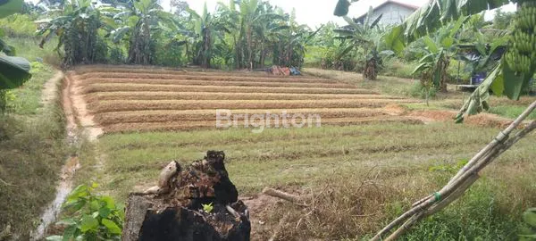 image TANAH DI JUAL DI LAMARU (1)