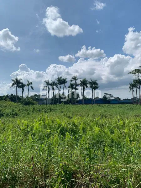 image TANAH DI CIKUPA TANGERANG  (4)