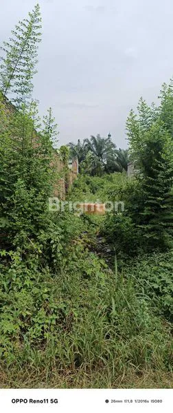 image DI JUAL TANAH KOSONG  (4)