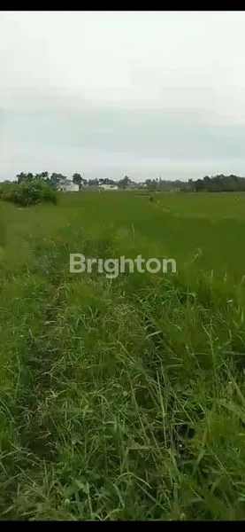 image TANAH STRATEGIS DIJUAL JLN BAHKORA II RAYA (2)