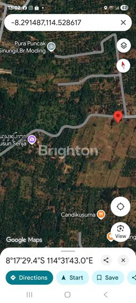 image TANAH UNTUK INVESTOR LOKASI CIAMIK DI DESA CANDIKUSUMA, MELAYA, JEMBRANA - BALI (2)