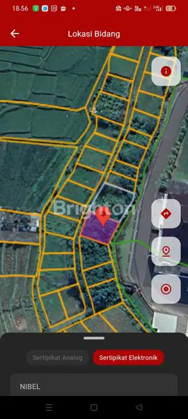 image TANAH INVESTASI STRATEGIS 300 M2 DI MENGWI, BALI HARGA TERJANGKAU (4)