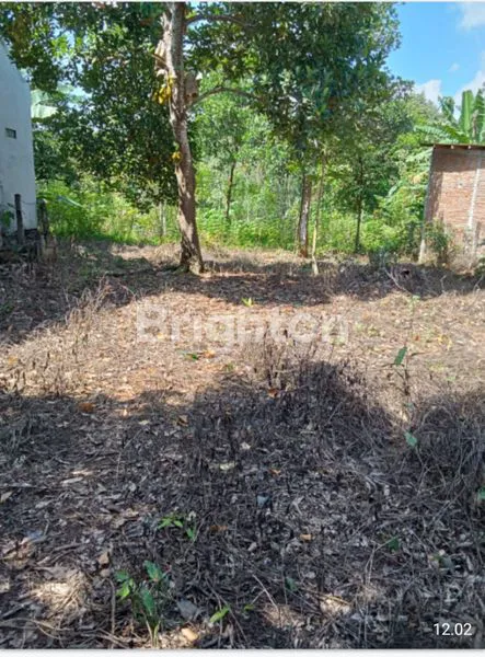 image TANAH PEKARANGAN DI KECAMATAN NGALIYAN - SEMARANG (3)