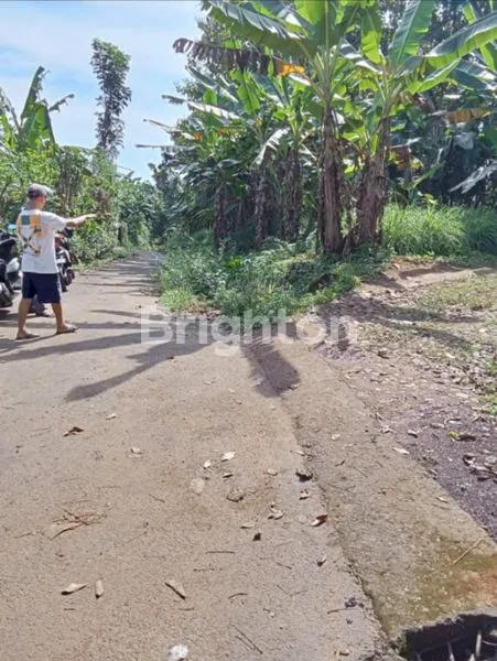 image TANAH KEBUN JATI DI WONOPLUMBON - MIJEN (4)