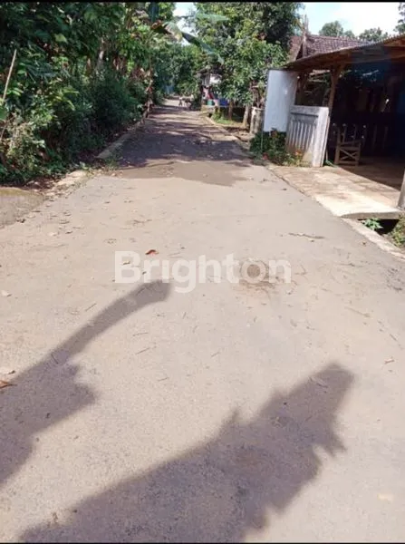 image TANAH KEBUN JATI DI WONOPLUMBON - MIJEN (6)