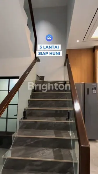 image ROYAL AVENUE (3)