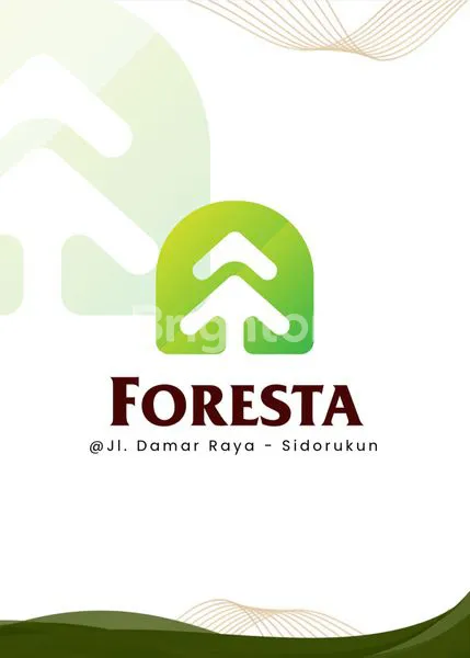 image FORESTA (1)