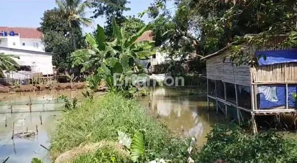 image JUAL LAHAN DAN EMPANG/ KOLAM IKAN (1)