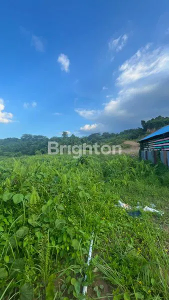 image TANAH LUAS MURAH DI BAWAH HARGA PASARAN (5)