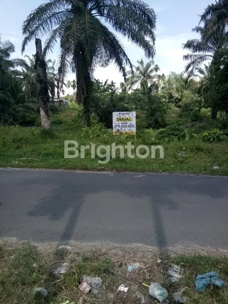 image TANAH KEBON BINJAI (1)