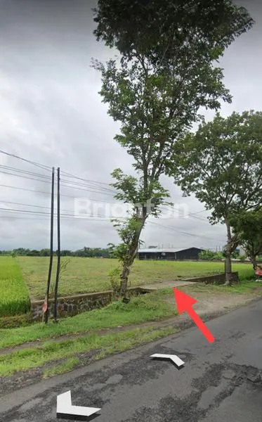 image TANAH JALUR KULINER WISATA SOLO TAWANGMANGU- GAYAMDOMPO KARANGANYAR SOLO (5)