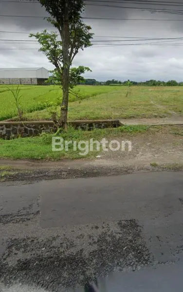 image TANAH JALUR KULINER WISATA SOLO TAWANGMANGU- GAYAMDOMPO KARANGANYAR SOLO (7)