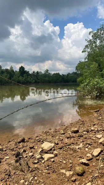image LAHAN LUAS DI PINGGIR SUNGAI MAHAKAM  (2)