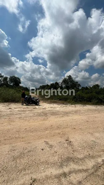 image LAHAN LUAS DI PINGGIR SUNGAI MAHAKAM  (3)