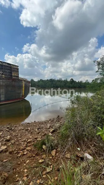 image LAHAN LUAS DI PINGGIR SUNGAI MAHAKAM  (1)