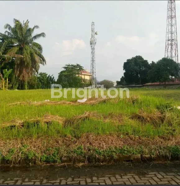 image TANAH KAVLING SELUAS 434M2 DI ASAM KUMBANG, MEDAN SELAYANG (1)