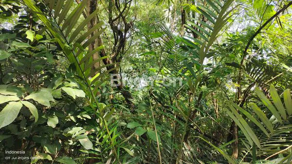 image TANAH INVESTASI STRATEGIS DI JL. CILENGGANG RAYA, SERPONG - LUAS 3.700 M2, AKSES TOL MUDAH (5)